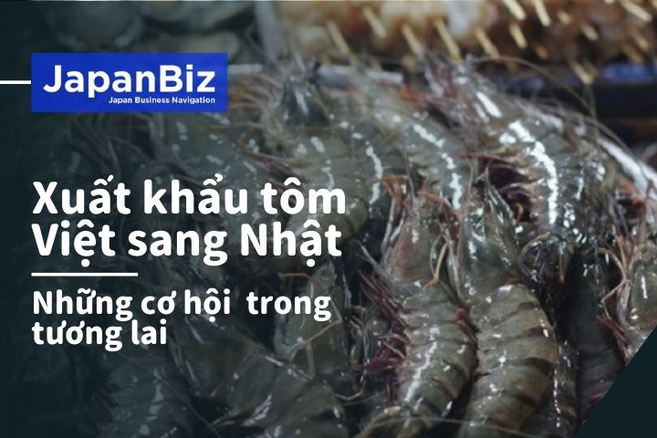 Xuất khẩu tôm Việt sang Nhật