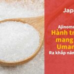 Ajinomoto và vị Umami Nhật Bản