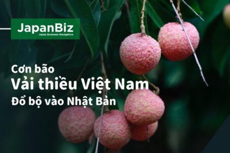 Vải thiều Việt Nam đổ bộ Nhật Bản