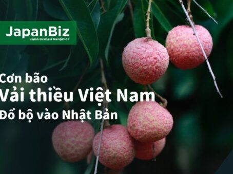 Vải thiều Việt Nam đổ bộ Nhật Bản