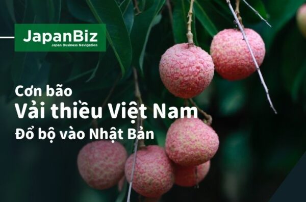 Vải thiều Việt Nam đổ bộ Nhật Bản