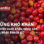 Những khó khăn của việc xuất khâủ nông sản sang Nhật