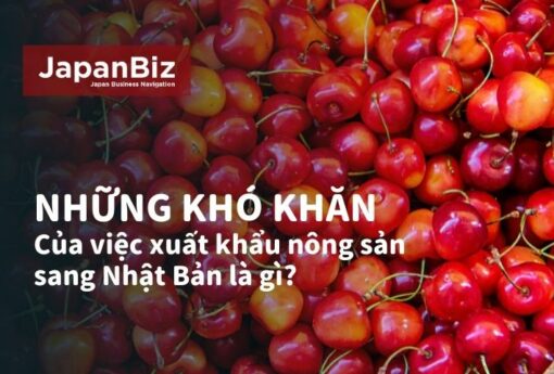 Những khó khăn của việc xuất khâủ nông sản sang Nhật