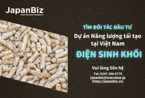 Tìm đối tác đầu tư điện sinh khối