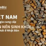 Việt Nam quốc gia cung cấp viên nén sinh khối lớn nhất ở Nhật Bảnở