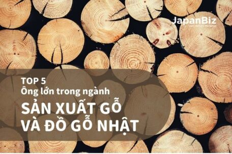 Top 5 doanh nghiệp lớn sản xuất gỗ Nhật Bản