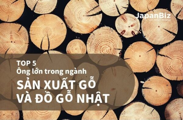 Top 5 doanh nghiệp lớn sản xuất gỗ Nhật Bản