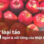 6 loại táo ngon va nổi tiếng của Nhật Bản