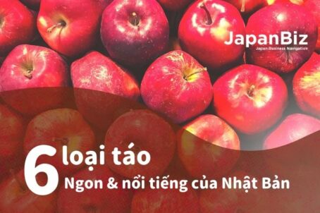 6 loại táo ngon va nổi tiếng của Nhật Bản