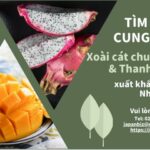 Tim-nha-cung-cap-xoai-cat-chu-vang-va-thanh-long