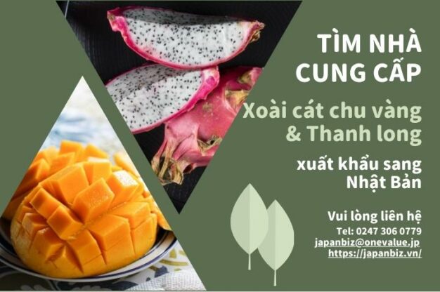 Tim-nha-cung-cap-xoai-cat-chu-vang-va-thanh-long