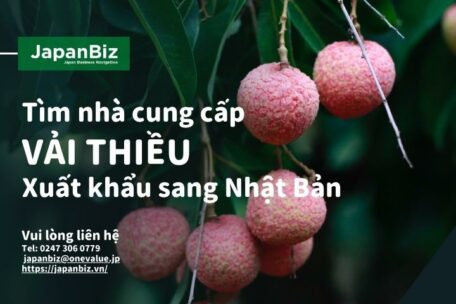 tim-nha-cung-cap-vai-thieu