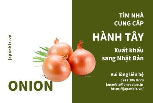 Tìm nhà cung cấp hành tây