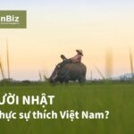 Người Nhật có thật sự thích Việt Nam