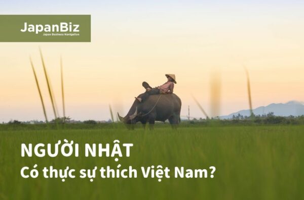 Người Nhật có thật sự thích Việt Nam