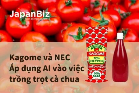 Kagome và NEC - Áp dụng AI vào việc trồng trọt cà chua  