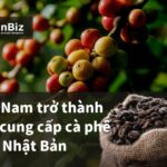 Việt Nam trở thành nhà cung cấp cà phê số 1 Nhật Bản.