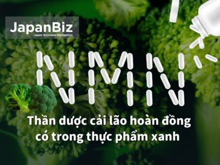 NMN - hoạt chất giúp giảm quá trình lão hóa và bảo vệ sức khỏe