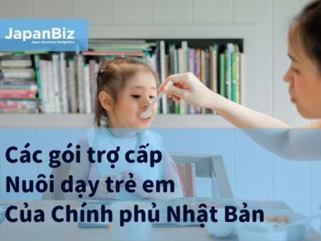 Các gói trợ cấp Nuôi dạy trẻ em Của Chính phủ Nhật Bản