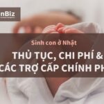 THỦ TỤC, CHI PHÍ & CÁC TRỢ CẤP CHÍNH PHỦ