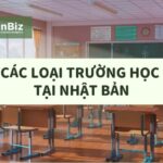 Các loại trường học tại Nhật Bản