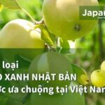 Các loại táo xanh Nhật Bản được ưa chuộng tại Việt Nam