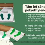 Tìm nhà cung cấp tấm lót sàn xe poly