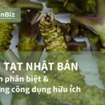 Mù tạt Nhật Bản và những công dụng hữu ích cho mỗi bữa ăn