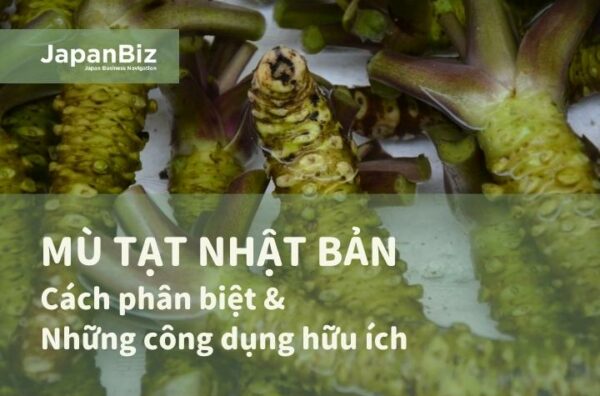 Mù tạt Nhật Bản và những công dụng hữu ích cho mỗi bữa ăn