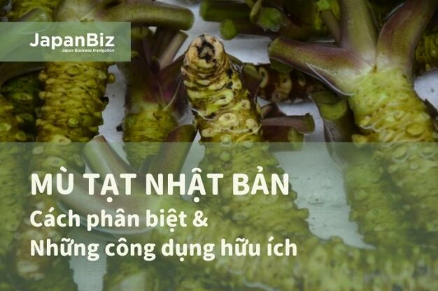 Mù tạt Nhật Bản và những công dụng hữu ích cho mỗi bữa ăn