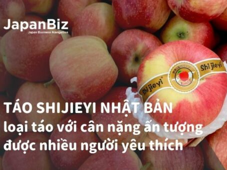 Táo Shijieyi Nhật Bản - loại táo với cân nặng ấn tượng được nhiều người yêu thích