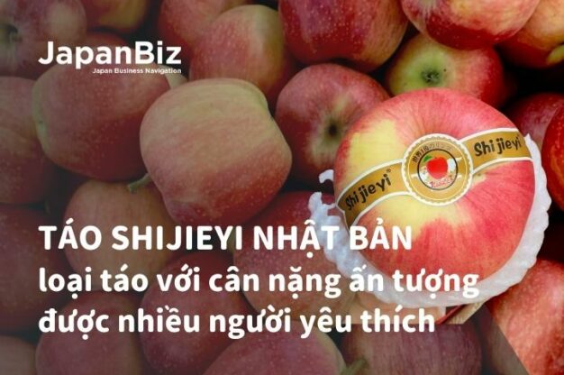 Táo Shijieyi Nhật Bản - loại táo với cân nặng ấn tượng được nhiều người yêu thích