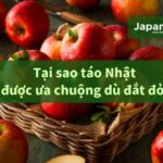 Tại sao táo Nhật được ưa chuộng dù đắt đỏ?