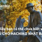 10 điều bạn có thể chưa biết về chú chó Hachiko Nhật Bản