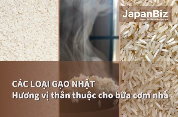 Các loại gạo Nhật - Hương vị thân thuộc cho bữa cơm nhà