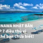 TOP 7 điều thú vị về tỉnh Okinawa của Nhật Bản có thể bạn chưa biết!