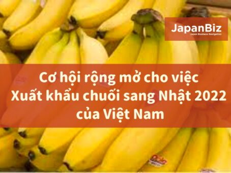 Cơ hội rộng mở cho việc xuất khẩu chuối sang Nhật 2022 của Việt Nam