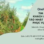 [GẤP] Tìm khách mua: táo Nhật (hàng phục vụ Tết)