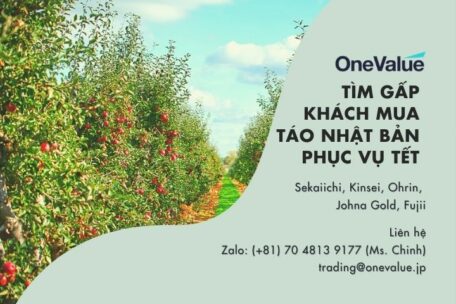 [GẤP] Tìm khách mua: táo Nhật (hàng phục vụ Tết)