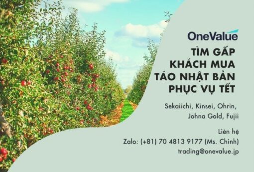 [GẤP] Tìm khách mua: táo Nhật (hàng phục vụ Tết)