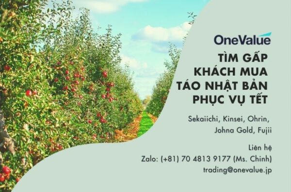 [GẤP] Tìm khách mua: táo Nhật (hàng phục vụ Tết)