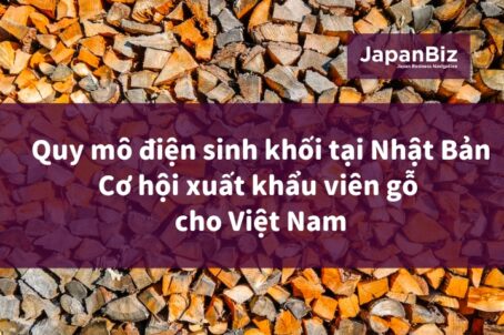 Quy mô điện sinh khối tại Nhật Bản - Cơ hội xuất khẩu viên gỗ cho Việt Nam