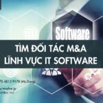 Tìm đối tác M&A: Lĩnh vực IT Software